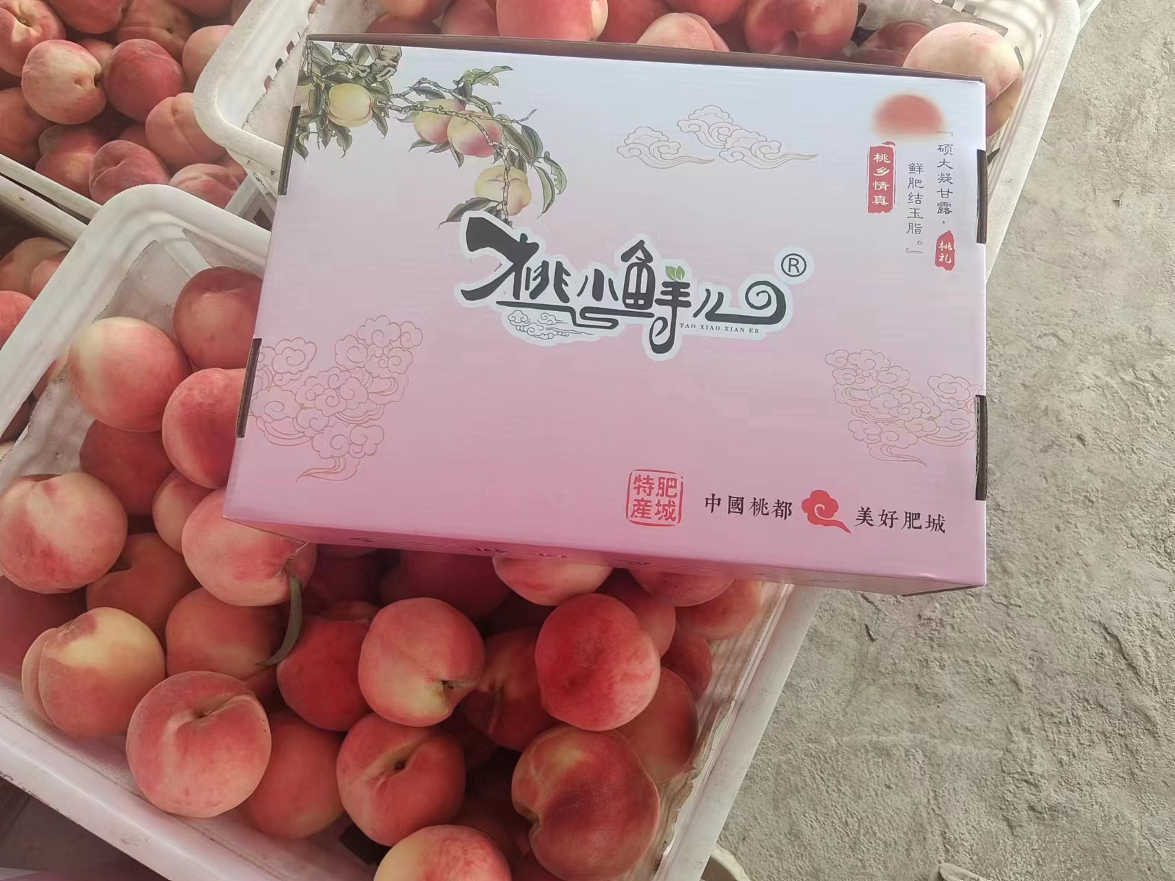 微信图片_20230909100443.jpg